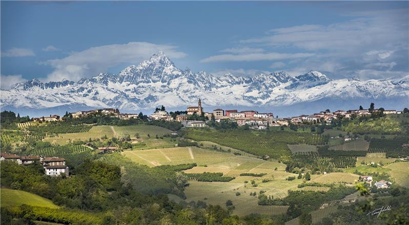 Cartoline da Diano d'Alba (2023)