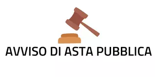 avvio_asta_pubblica