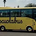 trasporto scolastico