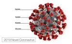 IMMAGINE_CORONAVIRUS