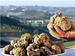 DOMANDA_INDENNITA_PATRIMONIO_TARTUFIGENO_REGIONALE