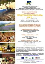 locandina